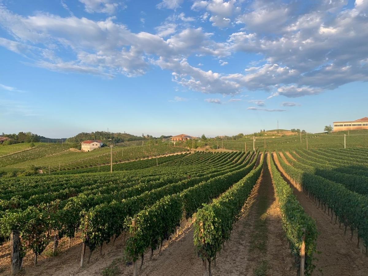 Villa Bricco 46 Nizza Monferrato Exterior photo